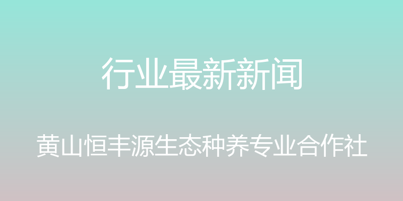 行业最新新闻 - 黄山恒丰源生态种养专业合作社